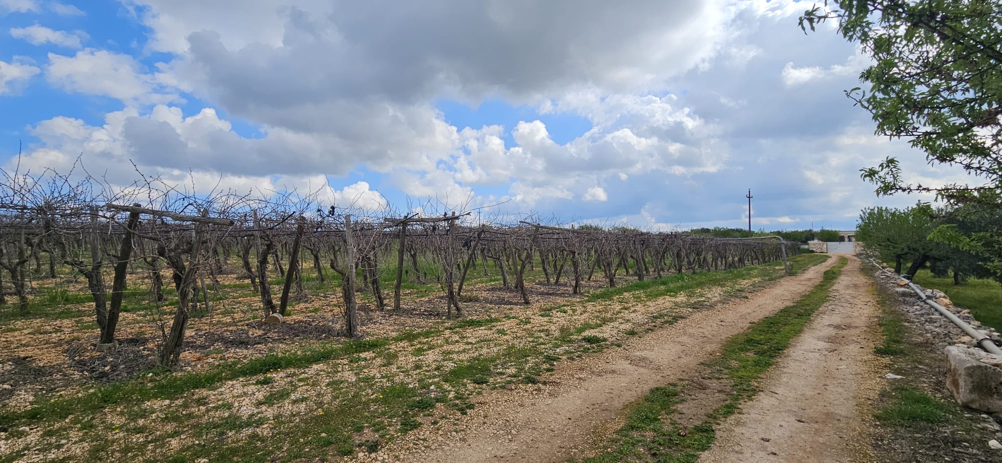 Terreno di 33.700 mq ca. con Fabbricato Rurale